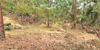 Venta de Lote en Envigado, Sector El Escobero, Area Total 8.200 mts2. Ideal para construccion de vivienda en un sector exclusivo, campestre, residencial y tranquilo. El Lote inicialmente tiene un primer nivel del parte plana y luego el acceso por enrielado hacia la parte alta del Lote, con hermosa vista hacia el El Retiro, Antioquia,y rodeado de arboles y naturaleza.

Con agua de nacimiento propio y electricidad.

Hace parte de 60 parcelas independientes con porteria. No paga administración. 

Se recibe propiedad en Medellín ó Envigado como parte de pago.

Contáctanos ahora mismo para agendar una visita y enamorate de este impresionante Lote!
