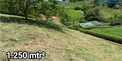 VENTA DE LOTE EN LEBRIJA A 5 MINUTOS DEL PARQUE COD: 1009

Área 1.250 m2
Con punto de agua
Con punto de luz
Escritura pública independiente 

Conjunto cerrado
Administración $200 mil pesos 

Precio $175.000.000 millones 

 

AGENDA TU CITA 301- 5948-700 O  300-3681-081
