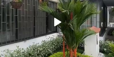 En el corazón de la ciudad, se encuentra esta majestuosa casa de 600 metros cuadrados,3 plantas; La casa cuenta en el primer piso con sala comedor,,Cocina abierta, cuarto de ropas, Baño social, habitación de televisión y un patio techado. En el segundo piso cuenta con 3 habitaciones cada una con su baño y un hall de alcobas, Cuenta con un altillo donde hay un estudio independiente y una habitación con baño y walking closet, ofrece un espacio amplio y confortable para toda la familia. Los acabados de alta calidad y el diseño moderno se combinan para crear un ambiente elegante y acogedor. Los 2 parqueaderos brindan comodidad y seguridad para sus vehículos. Disfrute de la tranquilidad y privacidad que este hogar exclusivo ofrece. Una oportunidad única para vivir en un lugar de ensueño. Valor $740.000.000. Informes 3117039168 Viviana Montaño.