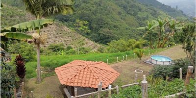 Acogedora casa de tres (3) niveles que combina funcionalidad y diseño, cuenta con dos (2) alcobas con closet, sala comedor iluminada, cocina semiintegral con isla central ideal para compartir en familia, dos (2) baños, pisos en cerámica y una terraza perfecta para disfrutar del aire libre o hacer reuniones sociales. ¡Una excelente opción para invertir o vivir cómodamente! No dejes pasar esta oportunidad, contáctanos en La Fontana Soluciones Inmobiliarias. 
 
Código inmo: 14893 Manizales, Caldas. 

