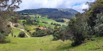 Tenemos el gusto de ofrecer este magnífico lote ubicado el sector Alcaparros; en la vereda El Salitre, a 15 minutos del peaje de patios, cerca de comercios, fruvers y D1 y también colegios, muy cerca del caserío de la vereda El Salitre. El lote se sitúa sobre un terreno con pendiente o en falda; logrando así una vista montañosa espectacular. Este lote está a orilla de carretera (veredal), lo cual permite generar un acceso directo sin ingresar por trochas, pero sin perderse de un asombroso paisaje rural 100x100. En este lote usted podrá construir su casa y obtener una vista de ensueño, aprovechando la parte alta de este terreno de un poco más de una hectárea. Viva en un entorno sano, natural y conectado con todo lo bueno que tiene la vida. Aproveche esta oportunidad y haga una excelente inversión para usted y su familia y construya el hogar soñado.
Pida su cita y vamos a conocer este espectacular terreno disponible para quienes quieren vivir la vida como debe ser.