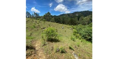 Venta de lote en Guarne – Vereda Yolombal | 7.485 m² | Alta valorización

Excelente oportunidad de inversión en la vereda Yolombal de Guarne, Antioquia, una zona en constante desarrollo y valorización, ideal para proyectos campestres o de vivienda.

? Área total: 7.485 m²
? Escrituras al 100% – Posibilidad de vender el lote completo o dividido en dos lotes con escritura independiente.

Características destacadas:


 
 Derecho a una pulgada de agua natural, ideal para proyectos sostenibles o agrícolas.
 
 
 Vista panorámica impresionante, rodeado de naturaleza y aire puro.
 
 
 Zona muy segura y de alta valorización, perfecta para invertir o construir tu vivienda campestre.
 
 
 Excelentes vías de acceso hasta la finca, aptas para cualquier tipo de vehículo.
 


Un lugar ideal para quienes buscan tranquilidad, conexión con la naturaleza y una inversión segura a corto y largo plazo.
