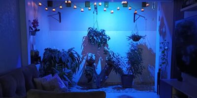 Venta de Casa Independiente en Prados del Norte 

Excelente ubicación cerca de centros comerciales, supermercados, panaderías, restaurantes y comercio en general. Fácil acceso a cualquier zona de la ciudad
 
En el año	2021 en el 1er piso se remodelo y en el 2do piso
 un baño. La casa esta distribuida de la siguiente manera:

En el 1er piso:	 Garaje, baño social, sala, comedor, sala de televisión, cocina concepto abierto, área de oficio, patio. Piso en porcelanato y escalera para acceso al segundo piso

En el 2do piso:  Habitación  principal con baño, 3 habitaciones con closet,  área de estudio, pasillo, baño de habitaciones y balcón. Piso en cerámica