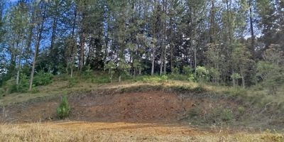 Oportunidad unica en Guarne, Antioquia! Lote de 10,000 M2 con gran potencial para proyectos agricolas o comerciales, a 15 min del aeropuerto JMC.

Caracteristicas:
- Lote amplio para:
- Sembrado y cultivo
- Invernadero
- Viveros
- Cuenta con Bodega de 190 M2 con 2 habitaciones y varias divisiones ideal para:
- Pesebreras
- Almacenamiento de herramientas y equipo
- Oficina o area de descanso

Un lugar perfecto para desarrollar tus proyectos y suenos! Quieres conocer mas sobre esta oportunidad? Contactanos!