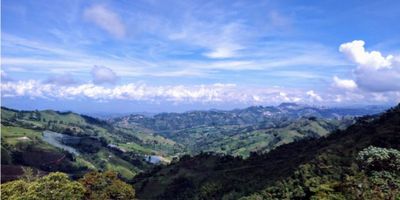 Lote compuesto por una parte plana y otra en ladera sembrada con árboles frutales (guayaba, feijoa y lulo) ubicado en la ruta del condor, tiene una casa de aproximadamente 50m en material para reformar (2 cuartos, cocina y baño).

Cuenta con servicios publicos como luz y agua del acueducto de Villamaria. También tiene agua de nacimiento

 
