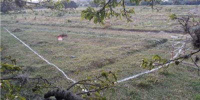 Lote Urbano de 570 m² con Servicios Listo para Construir!

¡Haz realidad tu proyecto de vida o de inversión! Este amplio lote de 570 m² está ubicado en una tranquila urbanización, listo para que comiences a construir.

Lo que lo hace único es que ya cuenta con servicios esenciales en el punto cero: agua y energía, permitiéndote arrancar tu proyecto de construcción sin esperas.

La urbanización es un entorno ideal para quienes buscan tranquilidad y un lugar seguro para vivir. Con la gran extensión del lote, tendrás la libertad de diseñar la casa de tus sueños, con amplios jardines, piscina o cualquier otra amenidad que desees. También es una excelente oportunidad para inversionistas que deseen construir más de una vivienda o un proyecto residencial.

No pierdas esta oportunidad de adquirir un terreno con todas las ventajas para construir de forma rápida y eficiente. ¡Agenda tu visita y conoce el lugar de tu próximo hogar!
