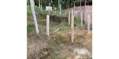 ¡Oportunidad única en Quimbaya, Quindío! Se vende un lote con una ubicación privilegiada en una de las zonas más hermosas de Colombia. Con una extensión de terreno de 50m², este predio ofrece un espacio amplio y versátil, perfecto para construir la casa de tus sueños o llevar a cabo proyectos comerciales. Además de su excelente ubicación es ideal para disfrutar de la tranquilidad y la naturaleza en un entorno exclusivo. 

Pero eso no es todo, el sitio donde se ubica cuenta con tuberia de gas domiciliario y agua potable, lo que te permitirá realizar la respectiva conexion a futuro para mayor comodidad en el hogar. Por si fuera poco, sus características externas harán que te enamores por completo de este lote. El acceso pavimentado te garantiza una cómoda entrada y salida, mientras que los árboles frutales adornan el paisaje y te brindan un ambiente fresco y acogedor alejado del ruido de la ciudad.

A pesar de estar en un entorno natural, el lote se encuentra cerca de la zona urbana, por lo que podrás disfrutar de todas las comodidades y servicios que ofrece la ciudad. También encontrarás colegios cercanos, ideales para que tus hijos tengan acceso a una educación de calidad.

Finalmente, si lo que buscas es una ubicación exterior, tranquila y rodeada de naturaleza, este lote es perfecto para ti. Ubicado en una zona residencial con amplias zonas deportivas y verdes, podrás disfrutar de un estilo de vida saludable y lleno de tranquilidad. ¡No esperes más y adquiere este inmueble que lo tiene todo!
