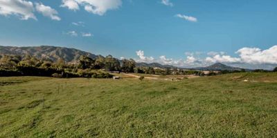 lote en parcelacion alcala de 10.320.metros  en el sector de El Tambo, La Ceja rodeado de senderos naturales y el bosque nativo . la parcelacion Cuenta con portería, vías internas pavimentadas, redes de energía y telecomunicaciones, acueducto y alcantarillado y zona de recolección de residuos.el lote tiene una topografia mixta con reserva forestal . precio negociable.  
