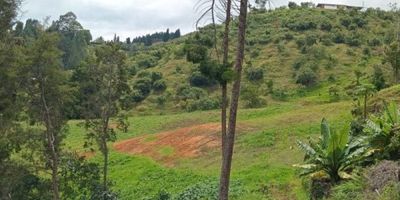 Casa finca en guarne ,área del terreno de 26 mil metros ,permite subdivisión en mas de 8 lotes ,ya cuenta con la norma aprobada por planeación, topografía plana, ondulada, cuenta con agua propia, casa principal 200 metros, casa mayordomo 90 metros,1.5 kilómetros del autopista Medellín Bogotá, fácil acceso, a&nbsp;bordo de la carretera, cuenta con excelente topografía, ideal para parcelar.