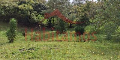 Terreno de 5000m2 en exclusivo sector Ubicado en Vereda Guapante, Guarne, encontramos este espectacular lote de 5000 m2, listo para convertirse en su futuro hogar o negocio. Se trata de un terreno, con acceso pavimentado y ubicado en unidad cerrada de solo 3 lotes. Su entorno natural y tranquilo lo convierten en el lugar ideal para descansar o emprender. A solo 5 minutos en carro se encuentra la zona comercial de Guarne, con supermercados, bancos, restaurantes y más. Y a 10 minutos está la estación de transporteAproveche esta oportunidad única de adquirir un terreno de gran tamaño a solo minutos de la ciudad. Con posibilidad de construir hasta 3 pisos, podrá desarrollar su proyecto soñado ya sea para vivir con su familia o empezar un negocio.