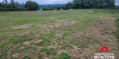 ? desde 1.006 m² 

? desde $220.000.000 (m² a $200.000)

? Topografías planas
? Cada lote tiene escritura individual
⚙️ Disponibilidad de servicios de electricidad y acueducto

? A tan solo 7 minutos de la iglesia de Morelia 
