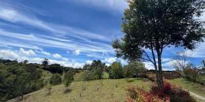 Si estás en busca de un lote o terreno para construir la casa de tus sueños en un ambiente tranquilo y rodeado de naturaleza, esta es tu oportunidad, te presentamos este increíble lote ubicado en Rionegro- Antioquia, con una extensión de 3.500 Mts2, este terreno te ofrece amplias posibilidades para construir la vivienda que siempre has querido.

Una de las características más atractivas de este lote es su cercanía a zonas verdes, podrás disfrutar de un ambiente natural a pocos pasos de tu hogar. Además, su acceso a vías principales y transporte público harán que puedas desplazarte a otras áreas de la ciudad sin ningún problema

No pierdas la oportunidad de hacer de este inmueble tu nuevo hogar!

Contáctanos ahora para conocer más detalles y agendar una visita.

¡Te esperamos! 

CONGENIA INMOBILIARIA?
Administradores de sueños?
