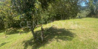 Descubra una oportunidad excepcional para adquirir un vasto lote de 3500 m² en venta, un auténtico oasis de tranquilidad diseñado para quienes buscan una conexión íntima con la naturaleza. Este terreno, con menos de un año de antigüedad, destaca por su amplio y soleado jardín, ideal para el esparcimiento y actividades al aire libre, ofreciendo un lienzo perfecto para su proyecto soñado. El lote se caracteriza por una topografía inclinada que añade un carácter único y permite disfrutar de espectaculares vistas panorámicas a las montañas y colinas circundantes. Rodeado de exuberante vegetación y árboles frondosos, cada rincón de esta propiedad invita a la contemplación y al disfrute de un entorno natural prístino, realzado por la abundante ventilación natural. Entre sus características clave, este terreno cuenta con extensas zonas verdes y un generoso jardín/patio que ofrece infinitas posibilidades de diseño paisajístico. La constante vista panorámica y la brisa natural que lo atraviesa garantizan una experiencia de vida en armonía con el entorno, libre de construcciones que interrumpan su belleza. Con un precio de $250.000.000, este lote representa una inversión invaluable para aquellos que anhelan crear un refugio personal o un proyecto residencial que capitalice la serenidad y la majestuosidad del paisaje. Las características de este lote lo convierten en una base excepcional para desarrollar una propiedad que destaque por su integración con el entorno natural, ofreciendo una calidad de vida incomparable."