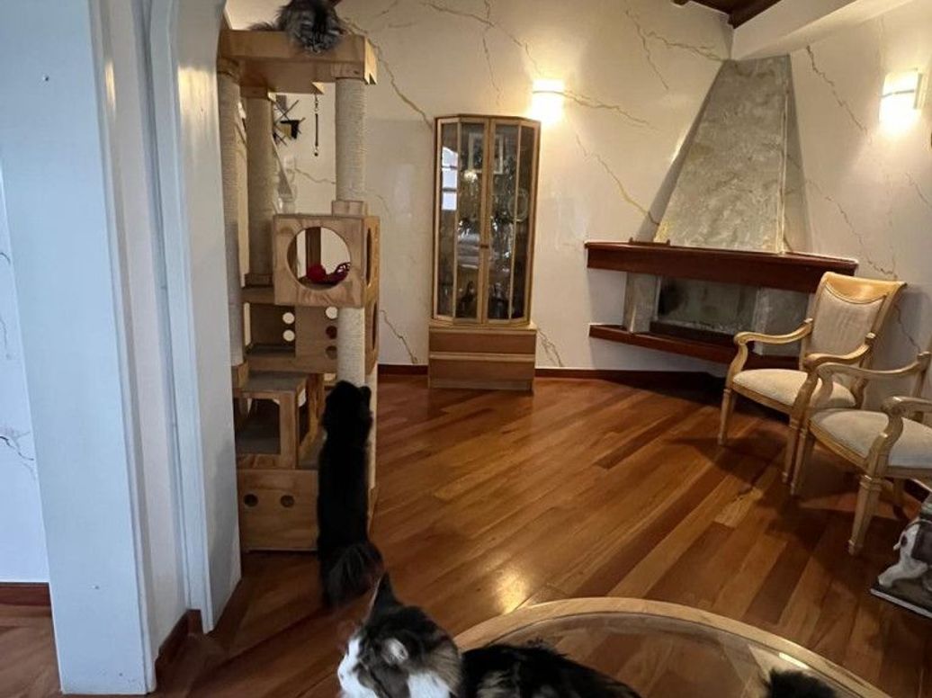 Casa de 4 alcobas en venta en Prado Veraniego Norte, Bogotá, 180 m² · foto 3 de 20
