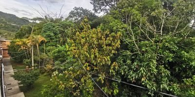 Venta de acogedora casa de 102 m2 en unidad cerrada en San Antonio de Prado, Medellín. La propiedad es de 3 niveles y cuenta con 4 habitaciones, 3 baños, sala comedor, cocina, zona de ropas y balcón en la habitación principal, ideal para disfrutar en familia. La unidad residencial ofrece excelentes espacios comunes como parqueaderos, juegos infantiles, cancha de microfútbol y baloncesto, además de portería con vigilancia 24/7 para mayor seguridad y tranquilidad. Ubicada en estrato 3, con administración de $151.000 mensuales y predial anual de $400.000. Una excelente oportunidad para vivir en un entorno familiar y seguro.

Venta sólo de contado. Precio fijo de $290.000.000 No créditos