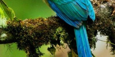 Se arrienda amplio lote de 6500 m² en Caldas, Antioquia. Ubicado en la Vereda El 60, sobre la Vía Minas de Amagá, este terreno en estrato 3 es ideal para proyectos que busquen un espacio generoso. Cuenta con vigilancia, ofreciendo mayor seguridad. Un lote con excelente potencial para arriendo en Caldas. Para más detalles o coordinar una visita, por favor, consulte las opciones de contacto.