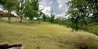 Codigo 28225. ? Lote en venta ubicado en Rionegro sector San Antonio de Pereira? Características:• Área total: 3.400 m²• Topografía: ligeramente ondulada con explanación lista• 1 nivel• Estado: nuevo• Valor de venta: $730.000.000• Valor predial: $1.000.000 anual• Avalúo catastral: $250.000.000• Disponibilidad: inmediata? Descripción:Este lote esquinero en la parte alta del sector Ojo de Agua ofrece un espacio perfecto para desarrollar un proyecto campestre o construir la casa de tus sueños. Su explanación permite un aprovechamiento óptimo del terreno y su topografía suavemente ondulada garantiza un diseño arquitectónico con carácter y amplitud.La ubicación brinda una vista panorámica privilegiada, rodeada de naturaleza y tranquilidad, a solo minutos de los principales servicios y vías de acceso de Rionegro.? Entorno:– A pocos minutos del Parque de San Antonio de Pereira– Cerca de la Universidad de Antioquia sede Rionegro– Excelente conexión con el Aeropuerto José María Córdova– Acceso rápido al Centro Comercial San Nicolás y la Clínica Somer? Beneficios del sector:• Zona de alta valorización• Ambiente campestre con cercanía urbana• Ideal para vivienda familiar o inversión en desarrollo inmobiliario? Agenda tu visita con Grupo Santamaría y descubre el potencial de este lote en uno de los sectores más demandados de Rionegro.