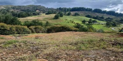 Codigo 28261. ? Lote en venta ubicado en El Retiro sector El Chuscal? Características del lote:• Área total: 1.020 m²• Estrato: 5• Estado: Nuevo, con disponibilidad inmediata• Licencia de construcción y planos arquitectónicos aprobados• Estudio de suelos incluido• Excelentes vías de acceso internas y externas pavimentadas? Descripción:En el exclusivo sector de El Chuscal, El Retiro, se encuentra este lote de 1.020 m² un proyecto rodeado de naturaleza y con excelente movilidad.Este lote ya cuenta con licencia de construcción, estudio de suelos y planos arquitectónicos aprobados, lo que te permite iniciar tu proyecto residencial de manera inmediata y sin trámites adicionales. Su topografía y entorno garantizan un desarrollo armónico, ideal para quienes buscan tranquilidad sin renunciar a la cercanía con servicios y comercios.? Entorno:– A minutos de La Fe y Don Diego– Cerca de malls, restaurantes, supermercados e iglesias– Acceso rápido a hospitales y transporte público– Zona campestre con excelente valorización en El Retiro? Zonas comunes de la urbanización:• Portería 24 horas• Zonas verdes• Parqueadero de visitantes? Datos adicionales:• Valor de venta: $500.000.000• Administración: $340.016 (incluye poda de jardín interior y setos)• Predial: $1.370.000 anual• Avalúo catastral: $234.043.000• Propiedad hipotecada (con proceso de levantamiento en curso)✨ Una oportunidad única para construir la casa de tus sueños en uno de los sectores más apetecidos de El Retiro.? Agenda tu visita con Grupo Santamaría y haz realidad tu proyecto de vida.