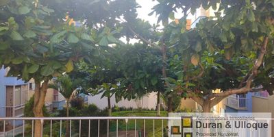 Se vende o arrienda espectacular local oficina de 54.02 m2 para estrenar en el primer piso del Conjunto Palco de Barro Blanco, Piedecuesta. Cuenta con un gran salón, 3 oficinas privadas, baño completo y cocina; ideal para consultorios o negocios. El conjunto ofrece seguridad 24 7, piscina, cancha, zonas verdes y parqueadero, con una administración de sólo 67.000. Una oportunidad única para trabajar cerca de casa o invertir. Contáctame para agendar una visita.  