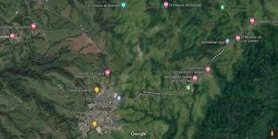 Espectacular reserva natural conservada donde habitan especies mamíferas como monos aulladores y preciosas variedades de aves. Con vocación ecoturística por su gran diversidad de flora y fauna de la selva húmeda andina con vestigios de la cultura Quimbaya. Senderos ecológicos, cascada natural.  Predominan usos Agrícola Pecuario y Forestal. Se recibe Permuta.