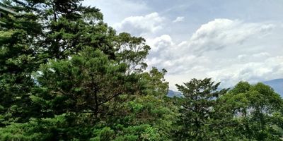 Apartamento en Arriendo sector Nuevo Poblado.
Descubre este espectacular apartamento ubicado en una de las zonas mas privilegiadas de el Poblado. Con espacios amplios, comodos y luz natural, es ideal para quienes buscan confort y excelente ubicacion. Dispone de 3 habitaciones, 3 banos, sala-comedor, cocina integral, zona de ropas, 1 balcon, 1 closet de lino, 1 closet, 2 Vestier, alcoba de servicio, barra americana, y cuarto util. Gracias a su ubicacion estrategica, tendras facil acceso a todo lo que necesitas: cercano a tienda D1, Calle 10, Av. el Poblado, asi como a restaurantes, zonas de servicios,  supermercados, colegios, transporte publico y vias principales. Ideal para quienes valoran la comodidad, funcionalidad y una ubicacion exclusiva en Medellin.