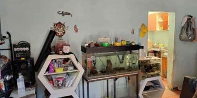 CODIGO:945FR1904

?✨ Casa en Venta – Usme, El Porvenir (Bogotá D.C.) ?

? Carrera 7C #65F
? $100.000.000 COP
? Área: 72 m²
? 2 Habitaciones | ? 1 Baño
? Estado: Bueno | ? Año de construcción: 2020
? Piso 1

? Características principales:
? Cocina integral
? Zona de lavandería + lavadero
? Suministro de agua incluido
? Parque infantil cercano

? Ubicación estratégica:
✔️ A pocos minutos de colegios, universidades y comercio.
✔️ Excelente acceso a transporte público.
✔️ Entorno residencial tranquilo y familiar.

✅ Ideal para familias que buscan un hogar cómodo, funcional y bien ubicado en el sur de Bogotá.

? ¡Agenda tu visita y conoce esta gran oportunidad en Usme!

#CasaEnVenta #Usme #ElPorvenir #BogotáInmuebles #TuNuevoHogar #VivirEnBogotá #OportunidadInmobiliaria
