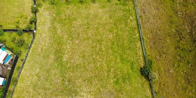 Venta Envigado Lote Alto de Las Plamas con un area de 2.033 m2 casi todo plano, listo para la entrega y construir una casa de 200 m2 en una sola planta. La parcelacion cuenta con 42 lotes con una topografía hermosa y con una vista muy bonita. Cerca al proyecto se encuentra zona comercial, colegios, banco, iglesia y queda a solo 20 minutos de Medellin.