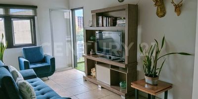 INVERSIÓN HOTELERA EN MEDELLÍN- OPORTUNIDAD ÚNICA CERCA DEL ESTADIO
¡Atención inversionistas y empresarios del sector hotelero! Se vende un hotel con potencial de expansión ilimitado en la zona más estratégica de Medellín. Ubicado a pocos metros del Estadio y de la estación del Metro, este inmueble ofrece una base sólida para un negocio de alta rentabilidad.
Actualmente, el hotel tiene 3 pisos habilitados con 34 habitaciones completamente dotadas y en funcionamiento. Pero la verdadera oportunidad está en su futuro: al construir los 3 pisos restantes, podrás tener un hotel de 100 habitaciones, convirtiéndolo en un jugador clave del mercado.
El edificio ya cuenta con ascensor y una ubicación inmejorable que garantiza una ocupación constante:
Conectividad: A un paso del Metro, facilitando el acceso a toda la ciudad.
Atracciones: Cerca del Estadio, Centro Comercial Obelisco y centros educativos, lo que atrae tanto a turistas deportivos como a viajeros de negocios y estudiantes.
Servicios: Rodeado de una completa oferta de transporte público, restaurantes y zonas de entretenimiento.
Este es un activo listo para generar ingresos desde el primer día, con la posibilidad de multiplicar su valor con una mínima inversión en infraestructura. Es la oportunidad que estabas esperando para consolidar o iniciar tu negocio hotelero en una de las ciudades más atractivas de Latinoamérica.