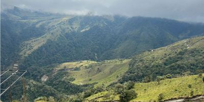 Vendo hermosa finca en letras,180 hectáreas,o 281 cuadras,en la vía principal de Manízales a Bogota,más de 1 kilómetro sobre la vía,a 40 minutos de Manízales buenos pastos,cultivo de papa,cerca Electrica,dividida en potreros,6 nacimientos de aguas más una quebrada con trucha natural,excelente vista,se divisan los nevados,ideal para proyectos turísticos y negocio,vendo permuto 
