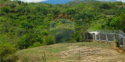 Vendo este lote de 1320 m² en el municipio de Melgar-Tolima ofrece una excelente oportunidad para construir una casa de descanso en una urbanización encantadora. La ubicación de este lote es particularmente atractiva, ya que se encuentra en una urbanización con 14 casas muy bonitas y cuenta con servicios esenciales como agua, luz y gas.

El terreno se encuentra en una ubicación conveniente cerca de la vía Panamericana, lo que permite un fácil acceso a diferentes destinos y brinda comodidad a los residentes. Esta cercanía a una importante vía de comunicación garantiza una conexión rápida con otras áreas y brinda la posibilidad de explorar los alrededores y disfrutar de las atracciones turísticas cercanas.

El tamaño del lote, con sus 1320 m², proporciona suficiente espacio para construir una casa de descanso espaciosa y cómoda. Los propietarios potenciales tendrán la oportunidad de diseñar y construir la casa de sus sueños, adaptada a sus necesidades y preferencias personales. Además, la amplitud del terreno permite la creación de áreas verdes, jardines, piscinas u otras comodidades que complementan el estilo de vida relajado y tranquilo que se busca en un entorno de descanso.

La urbanización en la que se encuentra el lote ofrece un entorno agradable y seguro. La presencia de 14 casas bonitas en el vecindario agrega un toque de encanto y estilo, creando un ambiente acogedor y atractivo. Los servicios de agua, luz y gas disponibles en la urbanización garantizan una vida cómoda y sin preocupaciones, sin la necesidad de lidiar con problemas de infraestructura básica.

Melgar, como municipio, es conocido por su clima cálido y agradable, lo que lo convierte en un destino popular para aquellos que buscan un escape de la rutina diaria y un lugar para relajarse. La región cuenta con una variedad de atracciones y actividades, como parques acuáticos, spas, restaurantes y hermosos paisajes naturales.

En resumen, el lote en venta de 1320 m² en la