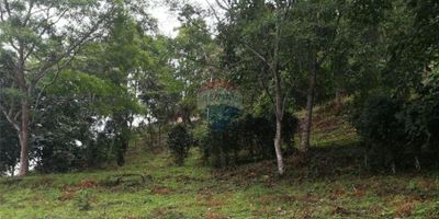 VENDO LOTE sobre via pavimentada La Vega Sasaima linda vista punto luz y agua, tiene 7626, en zona de turismo y recreacion a tan solo dos hora de Bogota, Sasaima es un ciudad con ambiente calido, cerca de facatativa y Villetas con acceso a 6 zonas turisticas y familiar excelente oportunidad de inversión, este lote es ideal para casa, hotel, turismos area de descanso y/o relajación.
