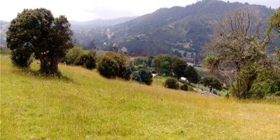 ¡Gran Oportunidad de Inversión en Cundinamarca, Colombia!

Presentamos un impresionante lote en venta en el prestigioso barrio de El Salitre, específicamente en la dirección Roldanillo 2 El Salitre. Este lote residencial, disponible para la venta, representa una oportunidad inigualable en un mercado de gran valor. Con permisos en regla, este lote es perfecta para desarrollar su proyecto ideal.

Este amplio espacio de 3545 metros cuadrados ofrece un potencial ilimitado para quienes buscan construir en una zona estratégica. Con la ventaja de contar con 10 espacios de estacionamiento, la comodidad y el acceso están garantizados.

Localizado en un área privilegiada, el lote está rodeado de infraestructura esencial: un hospital cercano asegura atención médica inmediata, mientras que la proximidad de colegios de alta calidad garantiza una educación excepcional para familias. La conectividad es un punto fuerte, con múltiples opciones de transporte público cercano para facilitar el desplazamiento. Además, el lote cuenta con la instalación de gas natural, un recurso indispensable para los servicios domésticos.

La ubicación de este lote en Cundinamarca, Colombia, no solo ofrece un entorno pintoresco, sino también un aire de desarrollo urbano perfectamente equilibrado con la naturaleza. No deje pasar esta oportunidad de inversión única. ¡Contáctenos hoy para más información y sea parte del crecimiento futuro de El Salitre!
