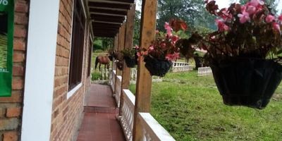 Se vende finca de producción animal o de recreación, Ubicada en la vereda San Miguel Alto San Francisco. Terreno plano en su mayoria, dotado de amplias zonas verdes y acceso para vehículos de carga. Casa principal, tiene dos alcobas con baño cada una y baño social, kiosco.  Casa operario. Galpones para aves con capacidad para siete mil ponedoras o doce mil pollos o cerdos, acceso a fuentes de agua, tanques elevados, laboratorio inseminacion cerdos, luz trifasica. Gran oportunidad de inversion.