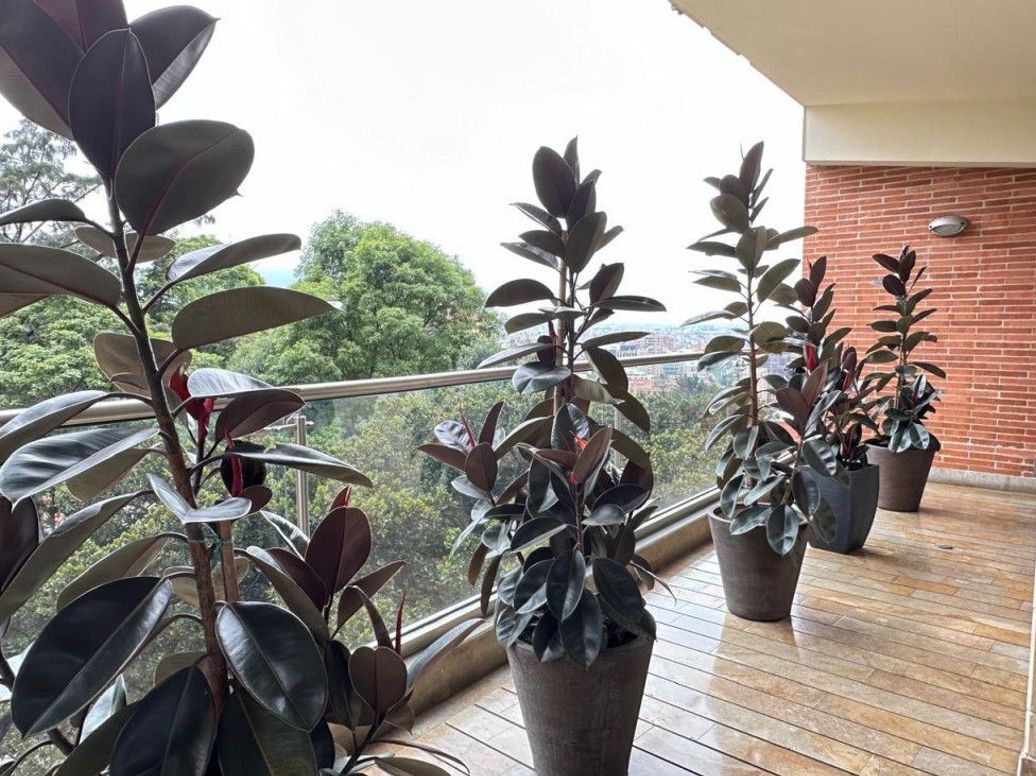 Apartamento de 3 alcobas en venta en El Pañuelito, Bogotá, 300 m² · foto 19 de 20