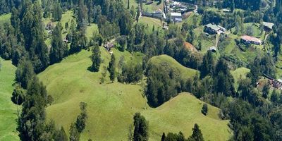 Codigo 28508. Lote en venta ubicado en La Ceja sector Las LomitasCaracterísticas principales• Área total: 1.000 m²• Estrato: 5• Tipo: lote en cesión de derechos• Entrega proyectada: primer semestre de 2026• Servicios disponibles: acueducto, energía eléctrica, red de gas natural, punto de internet• Vías de acceso pavimentadasDescripciónOportunidad de inversión en La Ceja. Lote de 1.000 m² ubicado en la exclusiva unidad campestre El Cortijo, sector Las Lomitas, a tan solo 2 minutos de la salida hacia La Unión.Su entorno natural y la excelente conectividad lo convierten en un espacio ideal para proyectar la casa campestre de tus sueños, con posibilidad de construcción aproximada de 300 m². La urbanización ofrece todas las comodidades de un proyecto moderno, rodeado de naturaleza y en una zona de alta valorización.Entorno– Sobre la vía La Ceja – La Unión– A 5 minutos del centro de La Ceja– Cercano a colegios, supermercados y zonas comerciales– Rodeado de reservas naturales y un ambiente campestre exclusivoZonas comunes de la urbanización– Portería 24 horas– Salón social– Zona BBQ– Salón de yoga o meditación– Parque infantil– Zonas verdes y senderos peatonalesValor de venta: $620.000.000Disponibilidad: inmediata (cesión de derechos)Una excelente opción para vivir o invertir en un proyecto de alta proyección, rodeado de tranquilidad, naturaleza y con fácil acceso a todo lo que ofrece La Ceja.? Agenda tu visita con Grupo Santamaría y asegura tu lote en este exclusivo desarrollo campestre.