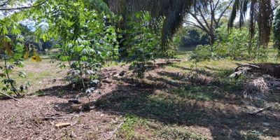 ¿Buscas un lugar para construir la casa de tus sueños en el maravilloso clima cálido de Melgar? ¡Este lote/terreno de 727 M2 es perfecto para ti! Ubicado en una urbanización cerrada y con vigilancia las 24 horas, te brinda la seguridad y tranquilidad que necesitas para vivir en plena paz y armonía. Además, su ubicación cercana al transporte público te permite fácil acceso a la ciudad y a todas sus comodidades.

Rodeado de árboles frutales y en una zona campestre, este terreno te brinda la oportunidad de disfrutar de la naturaleza y realizar actividades al aire libre en las zonas deportivas, incluyendo canchas de baloncesto, fútbol y tenis. Además, cuenta con un club social donde podrás compartir con amigos y familiares y una piscina para refrescarte en los días calurosos.

Al ingresar a la urbanización, serás recibido por una hermosa portería y una zona social donde podrás relajarte y disfrutar de la tranquilidad del lugar. También cuenta con una sala de internet y un salón comunal para tus reuniones y eventos. Y lo mejor de todo, un pozo de agua natural que garantiza el suministro de agua para tu hogar.

Aprovecha esta oportunidad única de adquirir un lote/terreno en una de las zonas más deseadas de Melgar, Tolima. No esperes más y contáctanos para más información. ¡No te arrepentirás!.