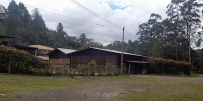 Excelente oportunidad de alquiler en una de las zonas comerciales mas buscadas de El Retiro, Antioquia. Esta bodega cuenta con una amplia area construida de 100 M2, lo que la convierte en una opcion ideal para empresas que buscan espacio y ubicacion estrategica. Ademas, cuenta con 3 parqueaderos al aire libre, lo que facilita el acceso de empleados y clientes al inmueble.

En cuanto a sus caracteristicas internas, esta bodega cuenta con todos los servicios basicos necesarios para el funcionamiento de cualquier negocio. Dispone de agua, bano auxiliar y electricidad, lo que brinda comodidad y funcionalidad a cualquier tipo de actividad empresarial.

Su ubicacion es inmejorable, ya que cuenta con acceso pavimentado y se encuentra en una zona de alto trafico y movimiento comercial. Ademas, esta cerca de la zona urbana, lo que facilita el acceso a la bodega para empleados y clientes, asi como la posibilidad de contar con multiples servicios cercanos.
