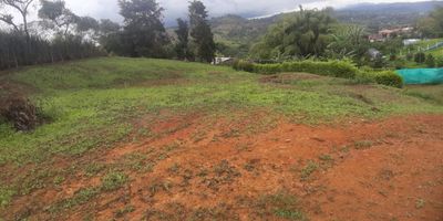 Se vende agradable y hermoso Lote Campestre en la Cumbre Valle por la oficina de Acuavalle y a 3 cuadras del Banco Agrario. Con un área de 2.600 mt2., con árboles, plataneras y un hermoso paisaje, en perímetro rural y con escritura pública.