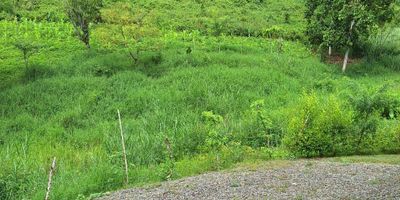 Ubicada en Ciudad Bolívar Suroeste Antioqueño vía Farallones.
A 5km ó 15 minutos de la vía principal que va hacia el Parque de Ciudad Bolívar. A 12 km ó 25 minutos del parque de Ciudad Bolívar.
A 23 km ó 35 minutos del parque de Hispania. A 3 horas ó 156 km de Medellín
Área. 27 cuadras / 17,3 hectáreas.
Altura entre 1.230 y 1.430 msnm.
Casa principal de 350 m² con 6 alcobas + 5 baños + sala + comedor. 
Casa de mayordomo.
Cuarteles + pesebrera  + gallinero.
6 potreros.
Hay 3 nacimientos de agua y dos concesiones de agua veredal.
Pasa quebrada de nivel bajo por la finca.
Tiene 50.000 palos de Café, están abandonados.
Tiene sembrado 250 palos de limón Tahití, varios muy maduros de limón mandarino. Guanábanos, guayaba, naranja, mango, matas de plátanos y bananos. 
Una huerta con tomates, pimentones, cilantro, cebolla, berenjena.
Tiene árboles de aguacate Papelillo Lorena y del redondo.
Predial: $700.000 al año.
Valor catastral: $ 800 millones.