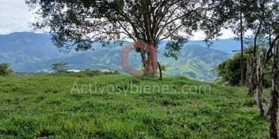 Venta de lote/terreno de 1000 M2  en Santo Domingo, Antioquia, zona rural y en constante crecimiento. Ideal para construir tú&nbsp;casa a tú gusto&nbsp;o para realizar proyectos de inversión en el sector inmobiliario. Una de las ventajas principales de este terreno es su cercanía a la zona urbana, ubicada en vereda Piedra Gorda a 20 minutos de Barbosa, carretera destapada que llega hasta el lote y una parte con rieles.Vende Activos y Bienes, Inmobiliaria experta en administración, arrendamiento y venta de apartamentos, casas, locales, bodegas y oficinas en el Oriente Antioqueño, Medellín y toda el área Metropolitana. Información sujeta a cambios. Las imágenes de muebles, enseres, decoración y demás elementos son una referencia.