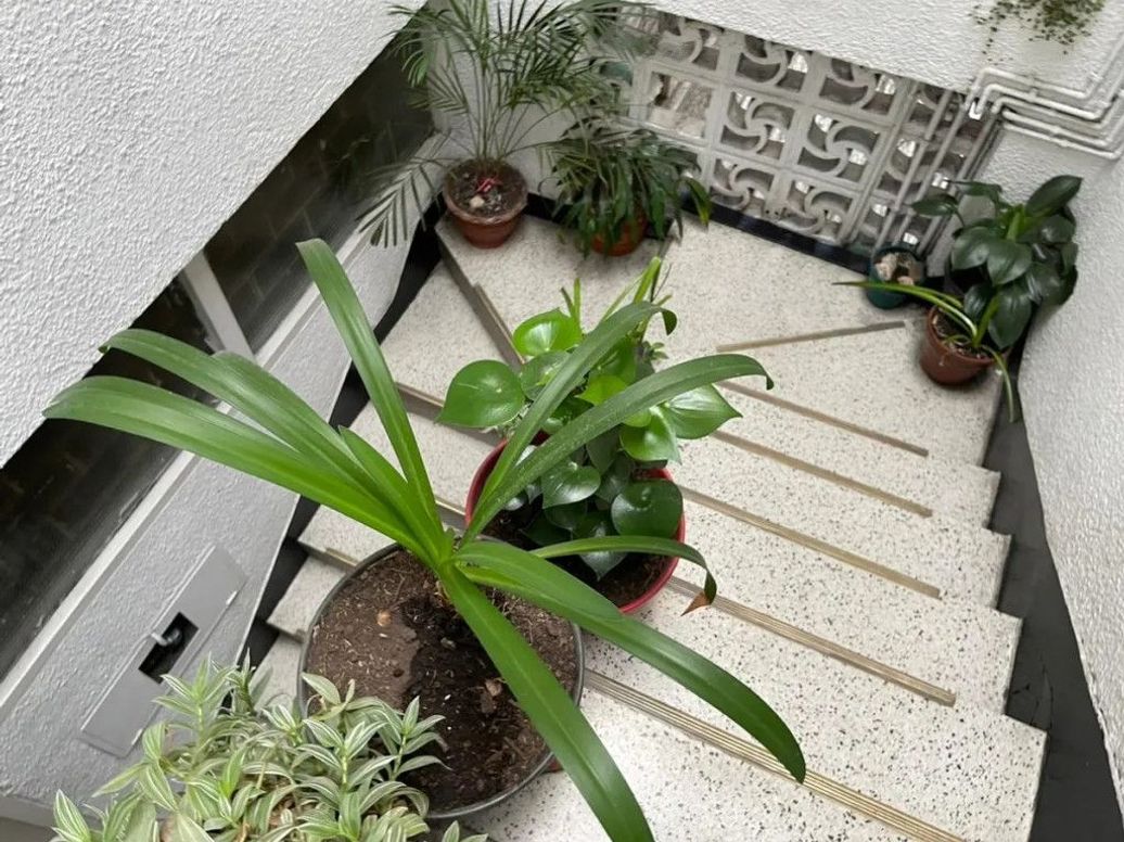 Apartamento de 3 alcobas en venta en Restrepo, Bogotá, 47 m² · foto 12 de 13
