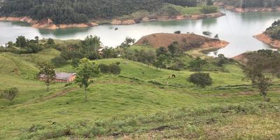 Propiedad en venta en Guatape con un area de cuarenta mil metros cuadrados. El terreno cuenta con topografia mixta, zonas planas y miradores naturales con vista al embalse, ideal para desarrollar proyectos turisticos, ecologicos o una finca de descanso.

Su amplitud y entorno natural lo hacen perfecto para construir cabanas, glamping, senderos ecologicos o un hotel boutique. La propiedad se encuentra en una zona de alta valorizacion, es una oportunidad unica para inversionistas que buscan conectar naturaleza, tranquilidad y buen desarrollo turistico en el oriente antioqueno.