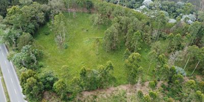 Se vende espectacular lote a bordo de carretera nacional, ubicado en la vía Pereira  Armenia, cerca al sector del Manzano.

La propiedad cuenta con un área de 14.767 m2, con una topografía 100 aprovechable y caminable. Se destaca por tener amplias zonas de pastura, complementadas con árboles típicos del sector zona Barbas Bremen.

El lote cuenta con escritura independiente y toda la documentación al día.

Por su ubicación estratégica, es ideal para desarrollar proyectos turísticos, finca campestre o una propiedad de descanso, ya que ofrece vistas espectaculares y un entorno natural único rodeado de fauna y flora de la región.

Se encuentra a tan solo 20 minutos de la ciudad de Pereira, lo que lo convierte en una excelente opción de inversión con proyección de valorización.