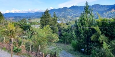 Hermoso Lote de 2.300 metros cuadrados, topografía mixta, tiene acometida del agua y contador, por el uso de suelo, se permite construir hasta 400 metros cuadrados, con espectacular vista, independiente, sector muy tranquilo y privado, sin registro de vecinos, con encierro total en cerco vivo.

Se encuentra ubicado a 1.3 kilómetros de la vía principal que conduce de San Antonio de Pereira a La Ceja, con dos vías de acceso. Cerca de estación de gasolina, Éxito express, mall comercial, iglesia, escuela, restaurantes. A cinco minutos de La Ceja, a 7 minutos del Carmen de Viboral y a 7 minutos de San Antonio de Pereira.