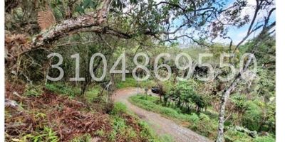 Vendemos tres lotes en la vereda  juan 23   con escrituras al  dia  nacimientos de agua   puedes elegir  un lote con  una vista preciosa, con una vista  panoramica  o con  una explanacion natural.
  apto  para llegar en carro pequeño. muy cerca de la  autopista medellin  bogota, 
lote  con  bosque  natural.
sector tranquilo,  uno  de los  lotes ademas de tener nacimiento tiene un arrollo de agua.