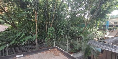 Se arrienda local comercial de 82 m² en Bosques de Zúñiga, Envigado, Antioquia. Este espacio, ideal para su negocio, cuenta con 2 baños y un parqueadero privado. Ubicado en estrato 6, cerca de la avenida Las Vegas, ofrece excelente visibilidad y accesibilidad en una zona de alto flujo. El canon de arriendo es de $8.230.000. Una oportunidad para establecer su empresa en Envigado. Contáctenos para más detalles o agendar una visita a través de WhatsApp, quiero que me contacten o ver teléfonos.