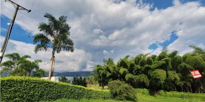 Lote en Venta en Conjunto Cerrado en Chinchiná

Ideal para construir la casa de tus sueños, este lote de 1800 m2 se ubica en un exclusivo conjunto campestre. Es una oportunidad para diseñar tu proyecto en un entorno natural y seguro, muy cerca del club de golf.

 

Descripción de la propiedad

El lote cuenta con una ubicación estratégica sobre la vía principal, lo que facilita el desarrollo de cualquier proyecto. Dispone de acceso garantizado a servicios públicos de agua y electricidad para tu futura construcción.

 

Descripción del entorno y acceso

El conjunto cerrado ofrece un ambiente tranquilo y seguro, con portería, vigilancia y acceso totalmente pavimentado. Sus residentes disfrutan de amplias zonas verdes, aire puro y áreas sociales para la convivencia.

 

Contáctanos

Si deseas hacer parte de esta comunidad campestre y darle vida a tu proyecto, escribe a nuestro WhatsApp. Agenda una visita y conoce el lugar donde podrás construir tu próximo hogar.


 
