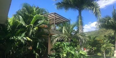 VEN Y VIVE LA EXPERIENCIA DE UN PARAÍSO EXCLUSIVO EN VILLETA: ESCÁPATE A LA TRANQUILIDAD EN UNA FINCA CON PISCINA ESPECTACULAR Y TODO EL ENCANTO TROPICAL QUE ESTABAS BUSCANDO.
Ubicada a metros del club Payande  y a tan solo minutos encontrarás el centro de Villeta, disfruta de esta finca espectacular con lote de 6.600 m2 plano impregnados de verdes con piscina de 8 x 12 m, rodeada de terrazas abiertas y jardines tropicales. La casa diseñada con estilo mexicano, es  fresca y luminosa, ideal para pasar días inolvidables entre sol, y brisa. con cocina abierta totalmente equipada + bbq + comedor exterior, con 4 habitaciones tipo suite con baño privado, walking closet y aire acondicionado la habitación principal con terraza privada y pérgola con vista al río. Con su follaje crecido y ya desarrollado lo que genera amplia sombra para parquear hasta 4  carros propios  . en temporada baja la arrendamos en $1’250.000 y en temporada alta en $1’450.000 un oasis lleno de magia y tranquilidad, el escenario ideal para desconectarse y darle las vacaciones perfectas a tu familia o amigos .para mas info contáctate Adriana Blanco Inmobiliaria 313 2233333