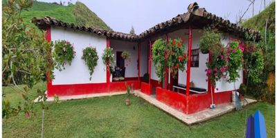 Finca en venta ubicada en  la vereda San Bartalo en el Municipio de Abejorral. Cuenta con un área de 3 hectáreas y tiene una casa que consta de 4 habitaciones, 1 baño, sala comedor, cocina sencilla, patio de ropas y amplios corredores.

La finca cuenta con agua propia, marraneras, pesebreras y parqueadero.

Ubicada a 8 kilómetros a aproximadamente del corregimiento de Mesopotamia por carretera destapada solo ingresa carro 4x4; para llegar al corregimiento de Mesopotamia es por la vía que comunica La Unión - Sonsón.
