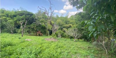 ¡La oportunidad que estabas buscando ha llegado! Adquiere este espectacular lote/terreno en uno de los lugares más hermosos y apetecidos de Pereira, Risaralda.

Con una extensión de 19200 M2, este terreno es ideal para la construcción de proyectos turísticos o residenciales, que conjugan con la naturaleza, rodeado de una gran variedad de árboles frutales y bosque nativos. 

Además, su ubicación estratégica te permitirá acceder rápidamente a las mejores zonas turísticas de Pereira, así como a centros comerciales, colegios/universidades, parques y zonas deportivas. Y si necesitas desplazarte por la ciudad, encontrarás transporte público cercano.

No lo pienses más y haz realidad tus sueños con este lote/terreno en una zona residencial exclusiva y rodeada de zonas verdes. ¡Contáctanos ahora para más información y no pierdas esta oportunidad única!